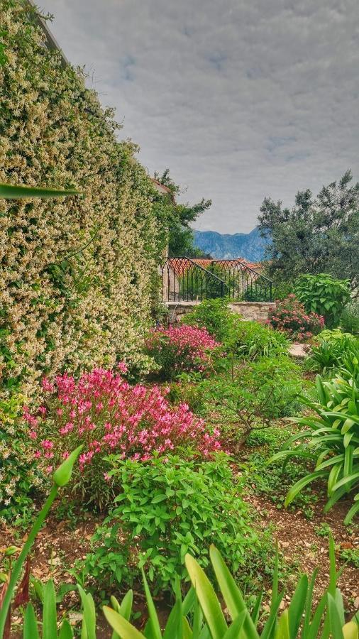 Casa Vita Nova Perast Dış mekan fotoğraf